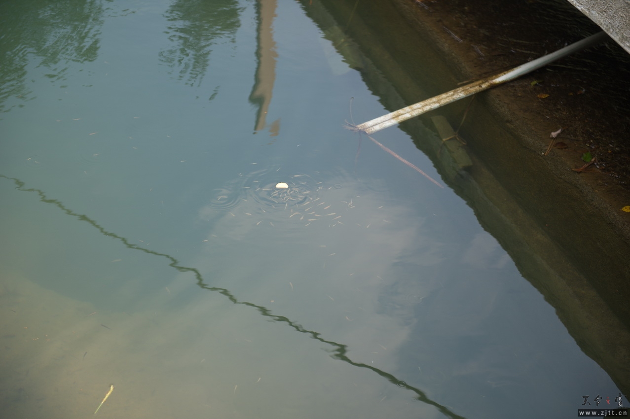 DSC_2713_缩小大小.jpg