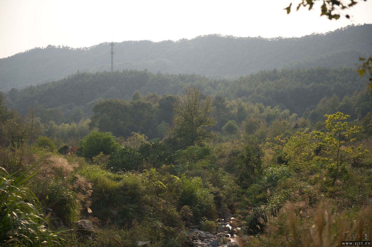 DSC_2737_缩小大小.jpg