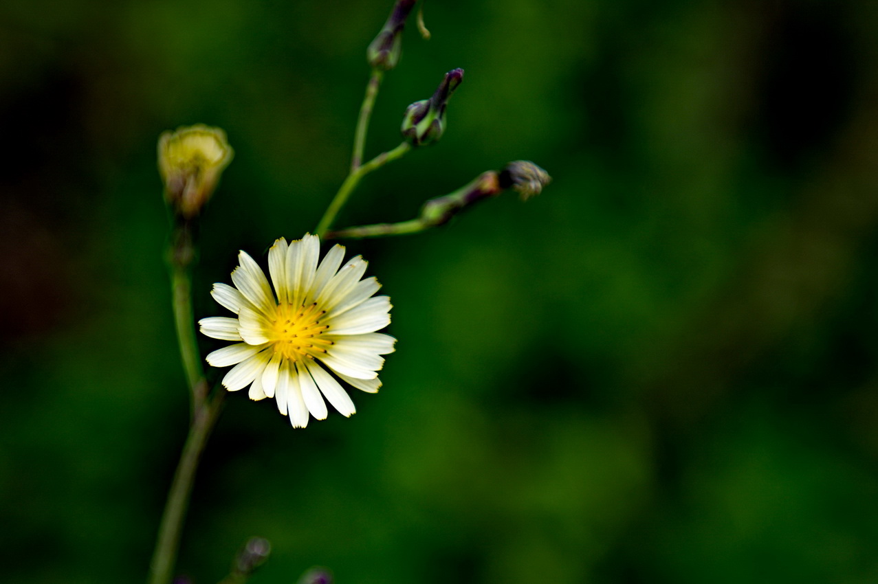 DSC_3087_缩小大小.jpg