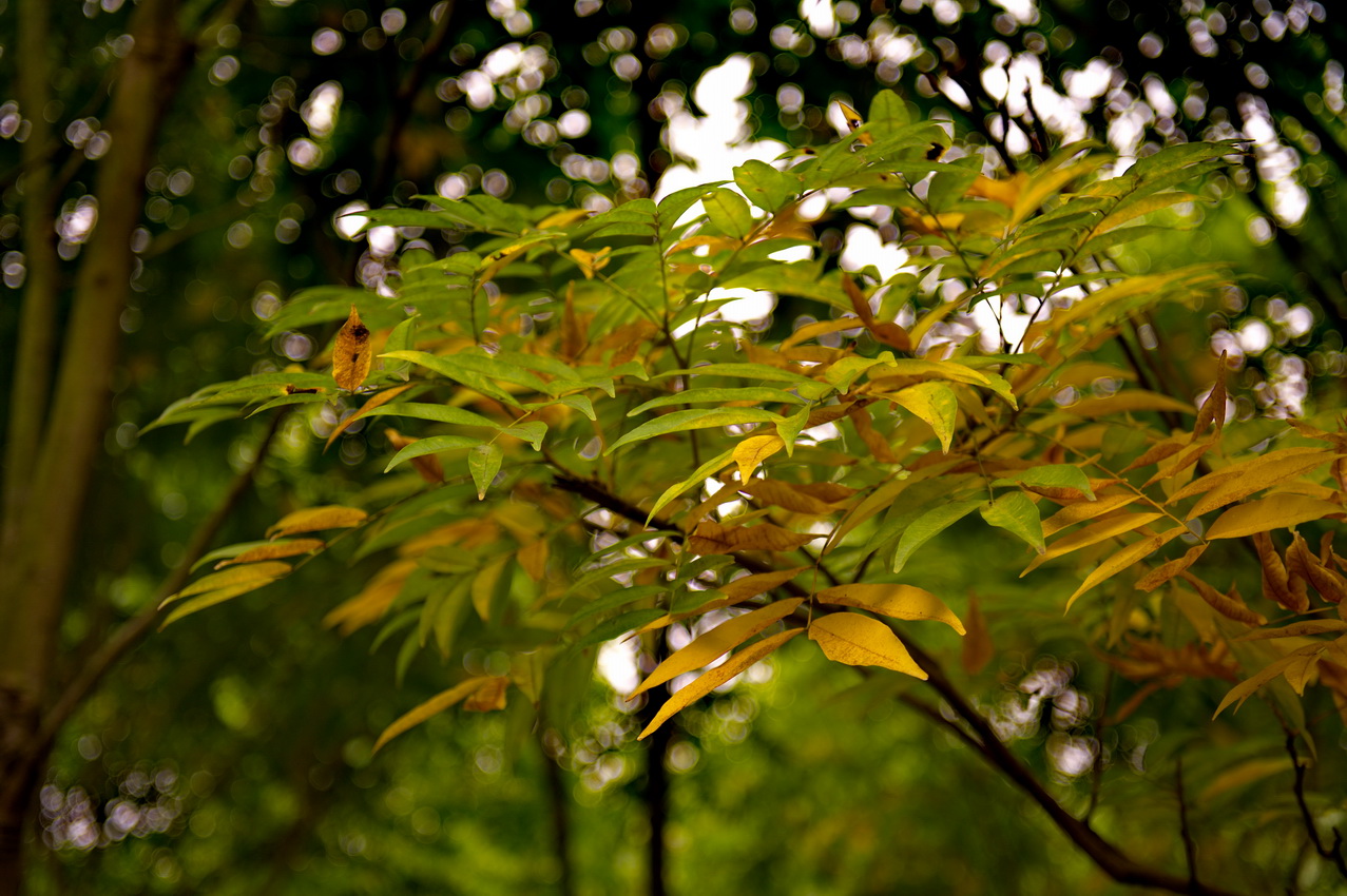 DSC_3088_缩小大小.jpg