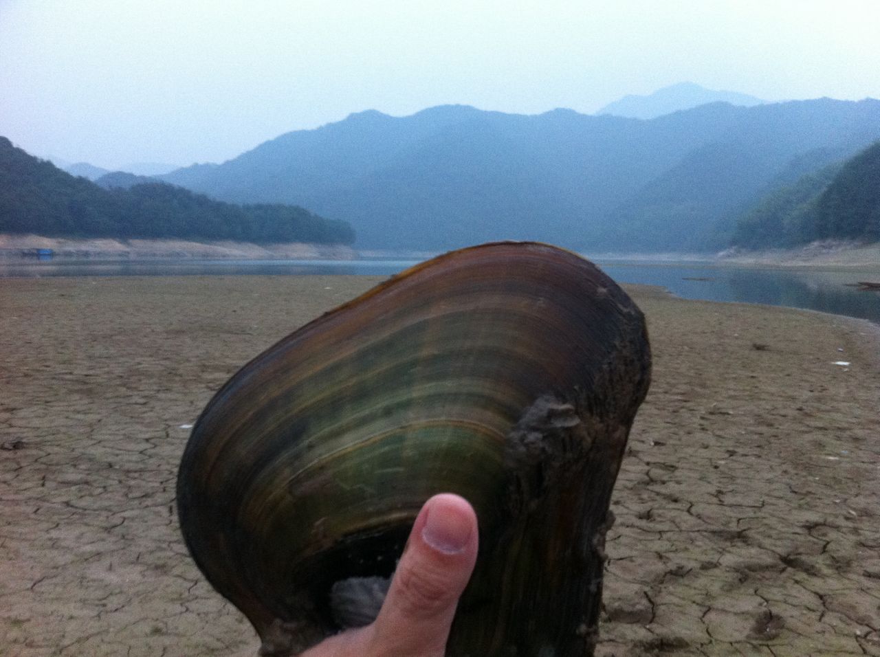 照片 016.jpg