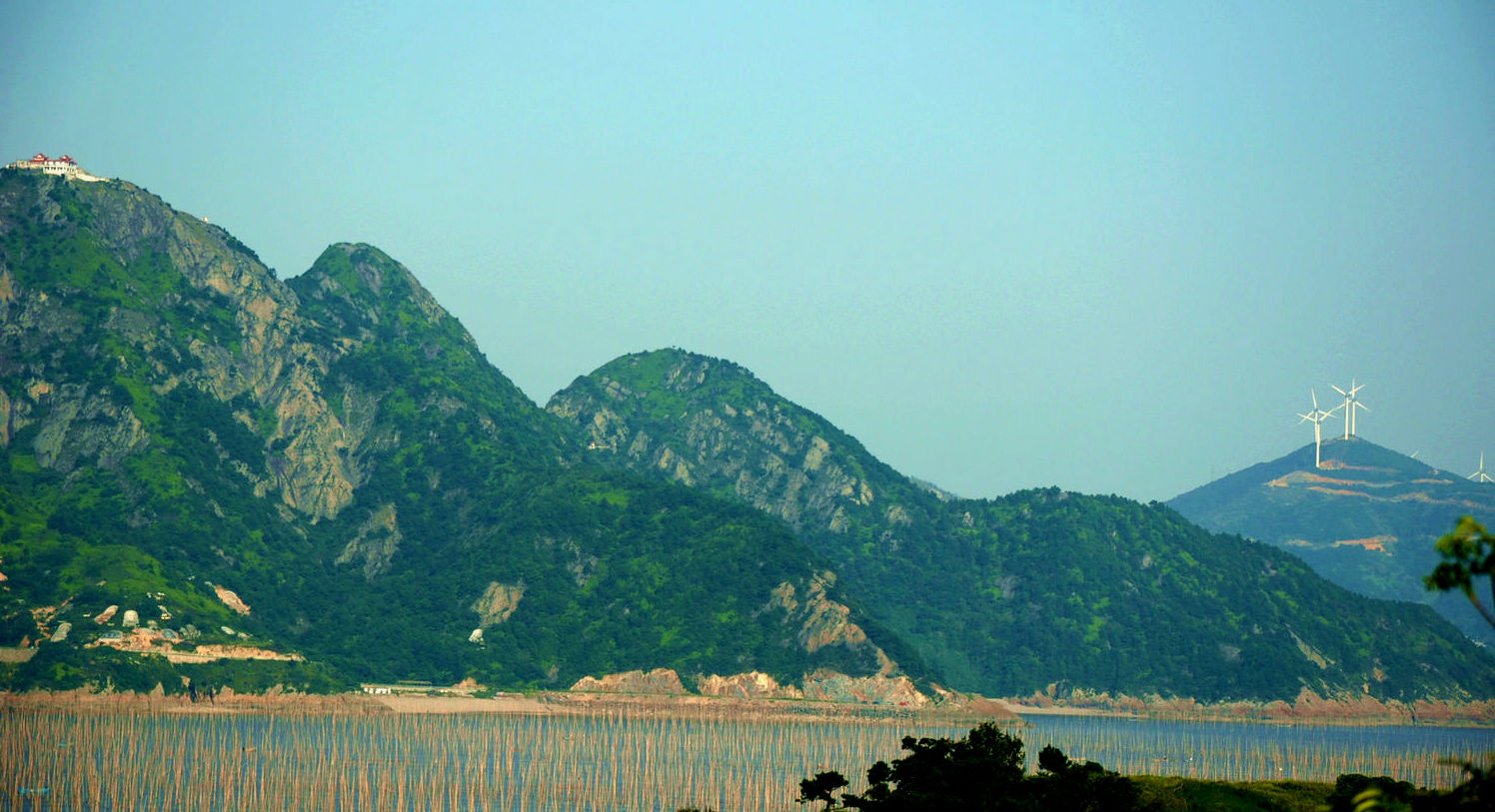 DSC_0006.jpg