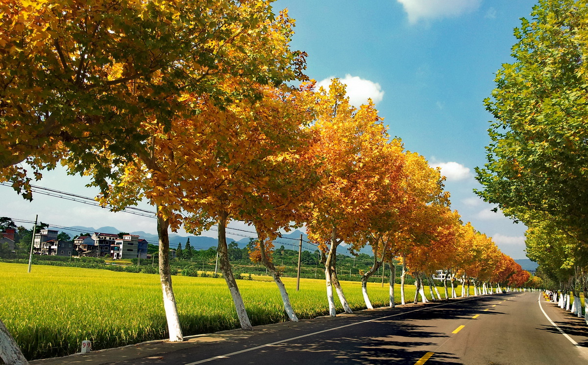 20121009_120511-2.jpg