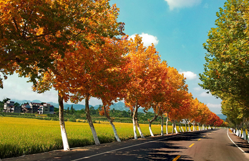 20121009_120511-2.jpg