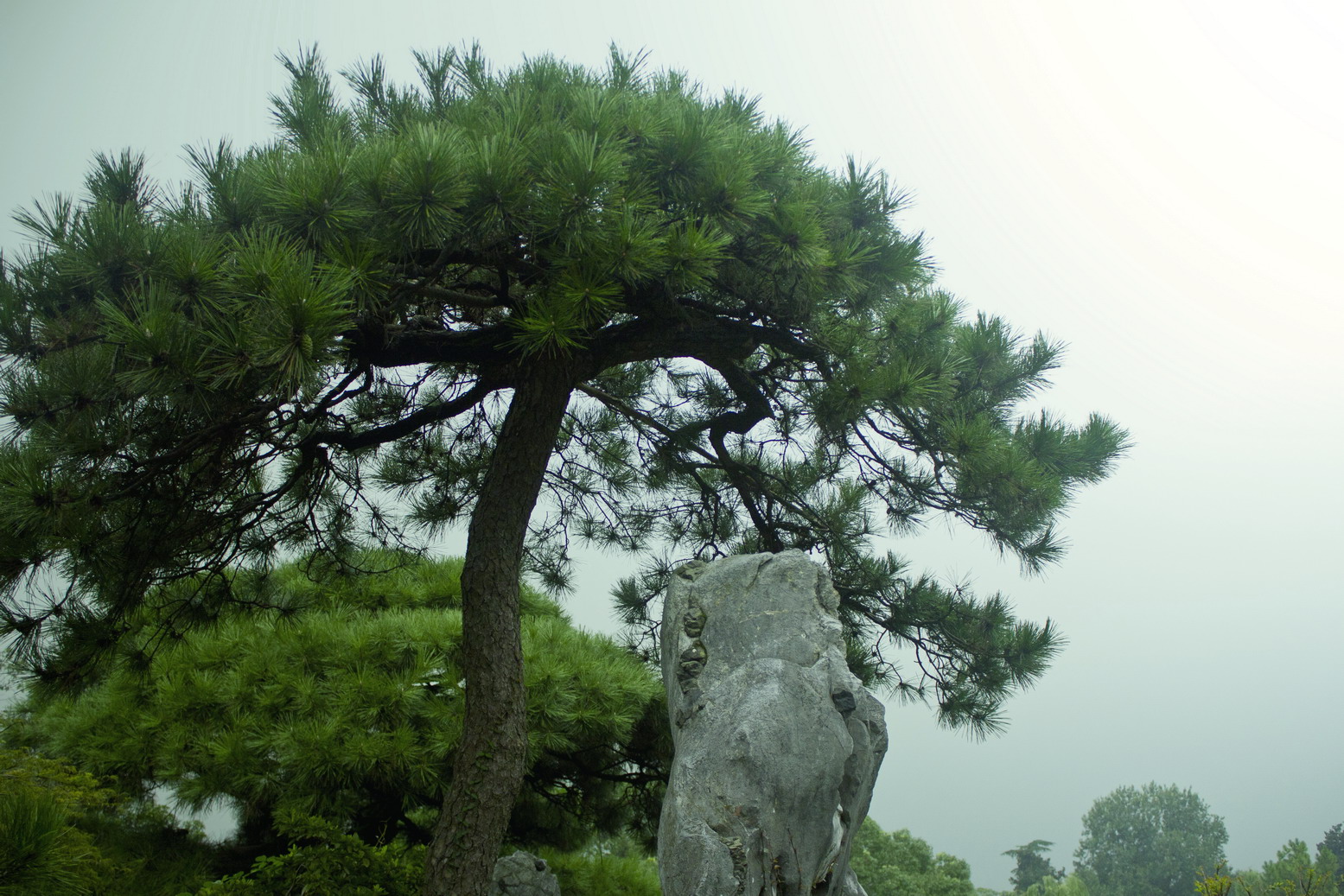 IMG_5254_调整大小.jpg