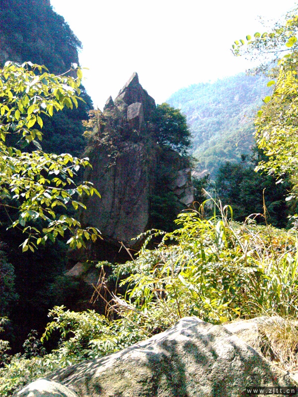 IMG_20121013_102010.jpg