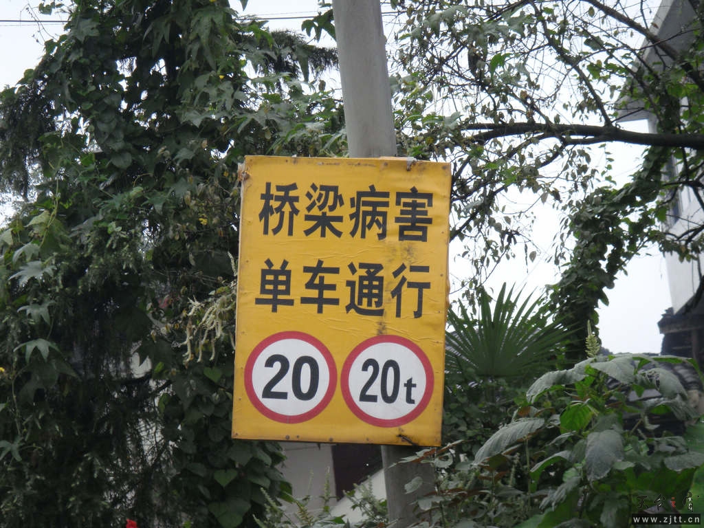 DSC02117.jpg
