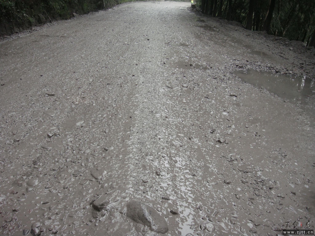 DSC02118.jpg
