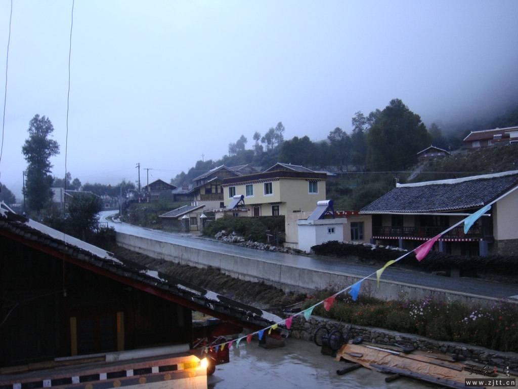 DSC02220.jpg