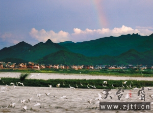 天台.jpg