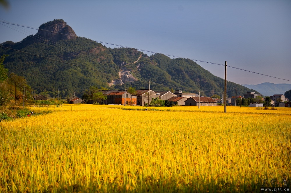 DSC_3659-1.jpg