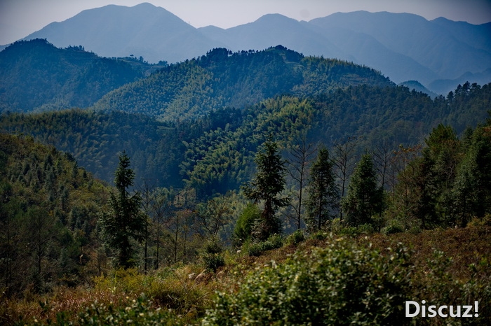 DSC_3747-1.jpg