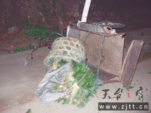 老汉.jpg