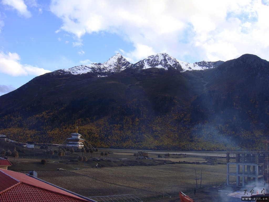 DSC02654.jpg