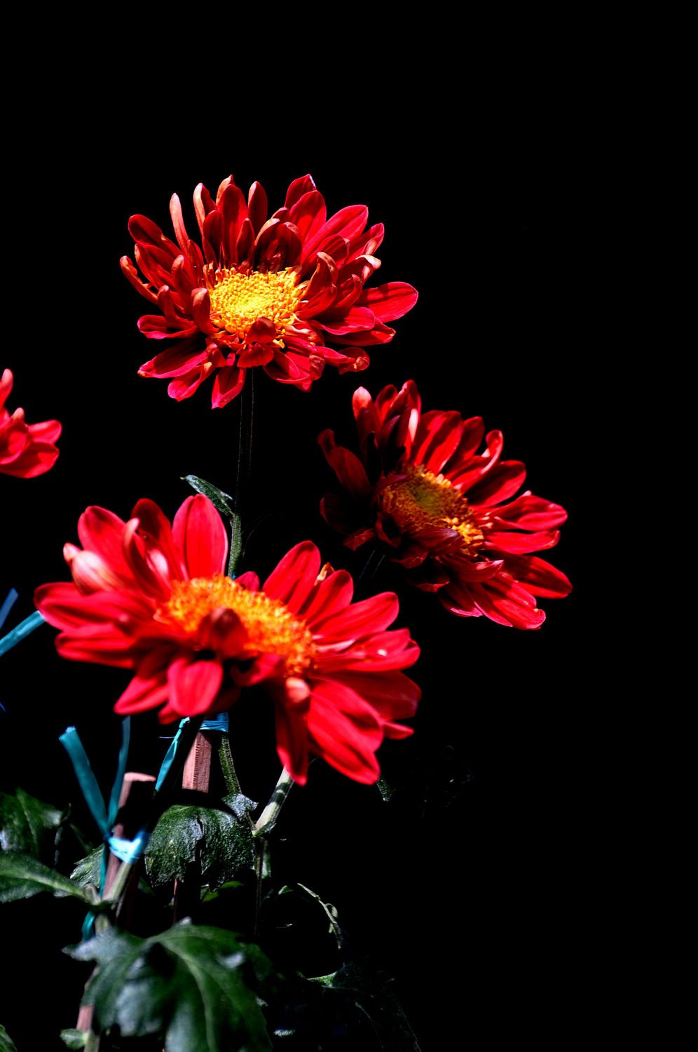 DSC_0573.jpg