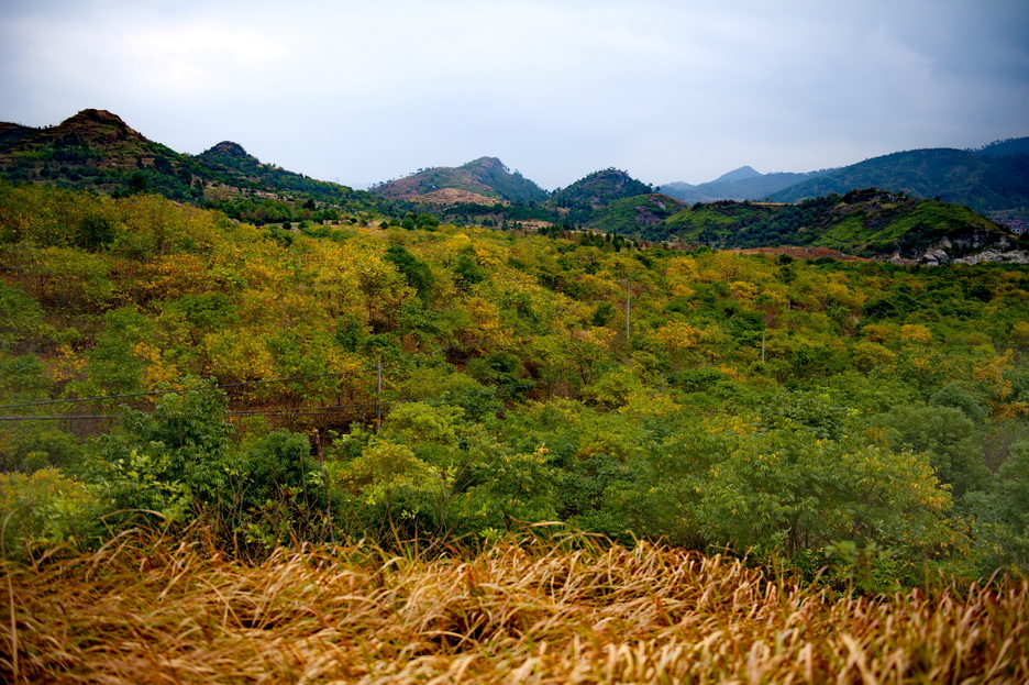 DSC_4036_缩小大小.jpg