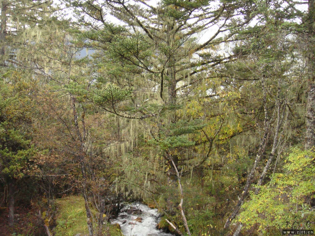 DSC02732.jpg