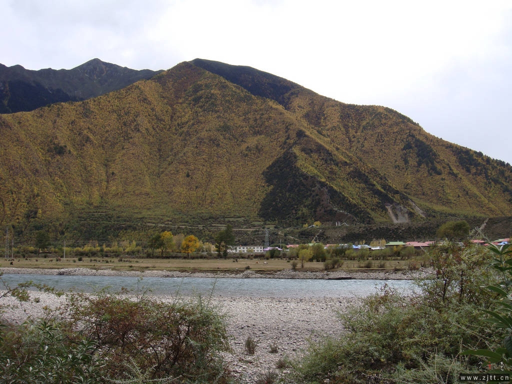 DSC02774.jpg
