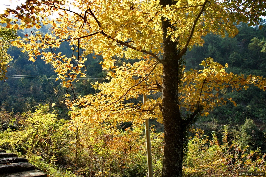 DSC01751_缩小大小.JPG