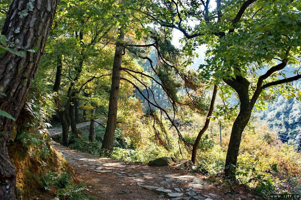 DSC01728_缩小大小.jpg