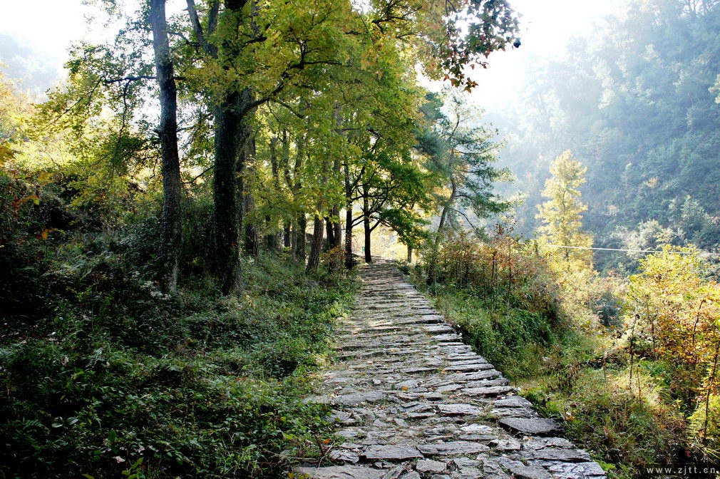 DSC01734_缩小大小.jpg
