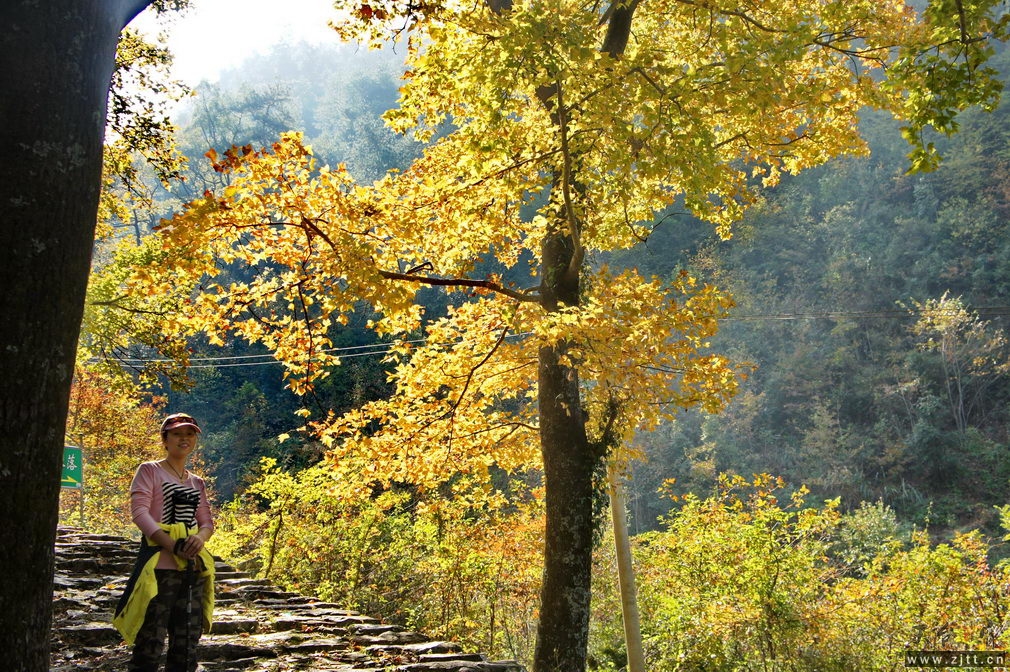 DSC01747_缩小大小.jpg