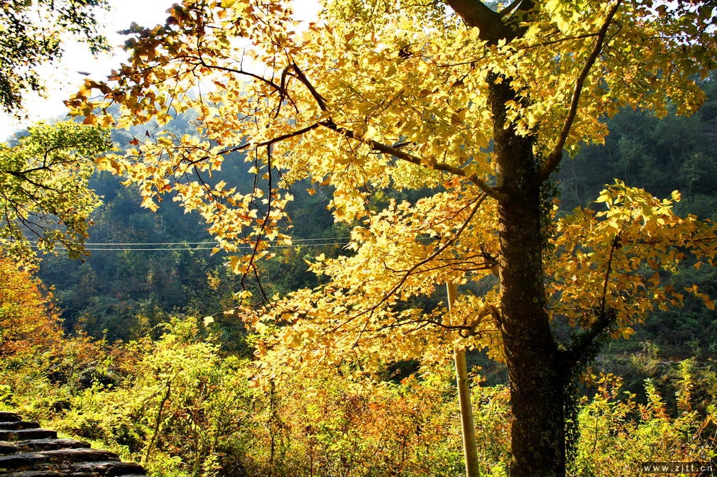 DSC01753_缩小大小.jpg