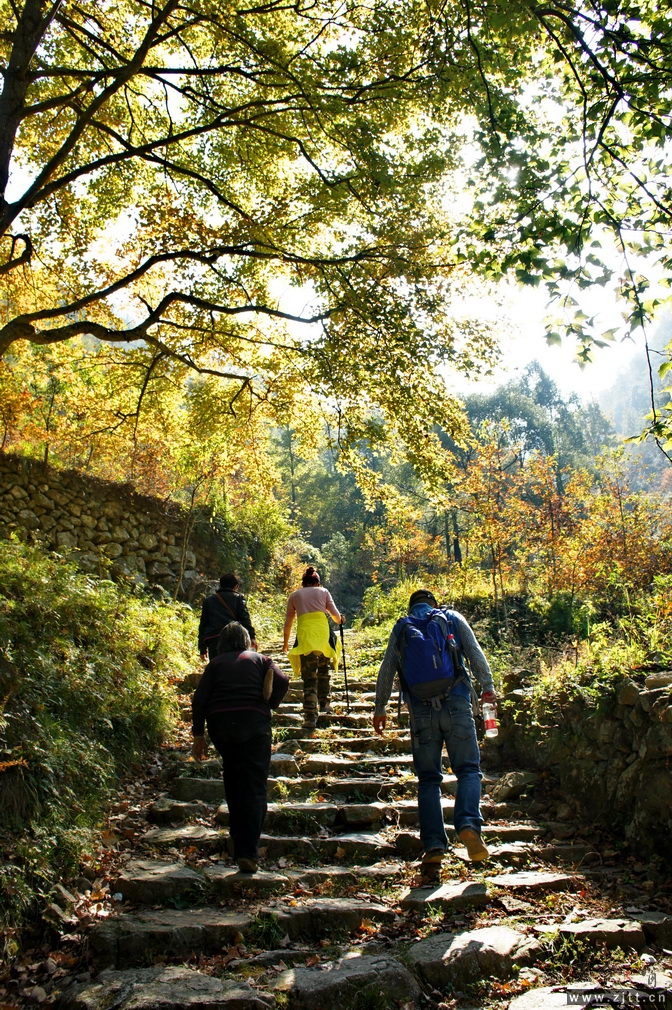 DSC01768_缩小大小.jpg