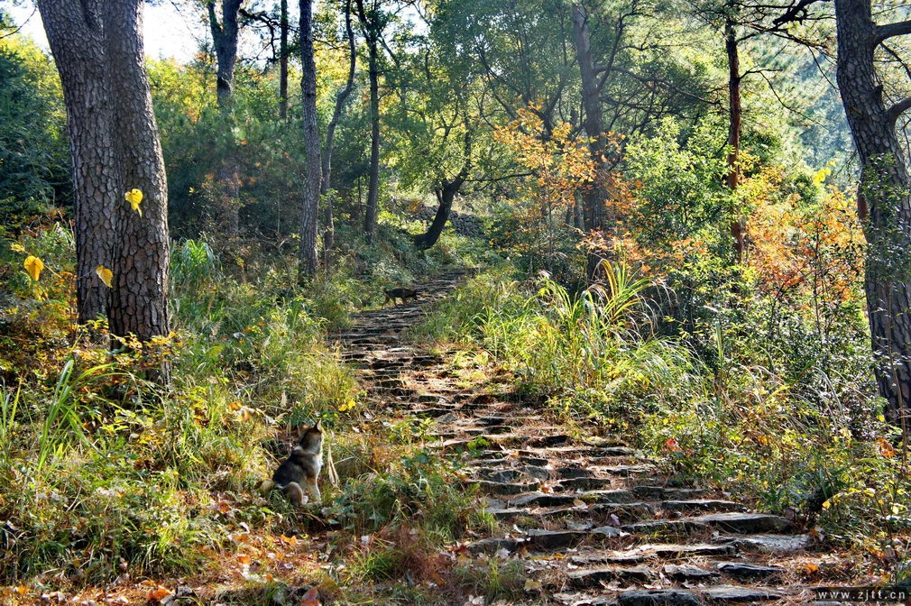 DSC01794_缩小大小.jpg
