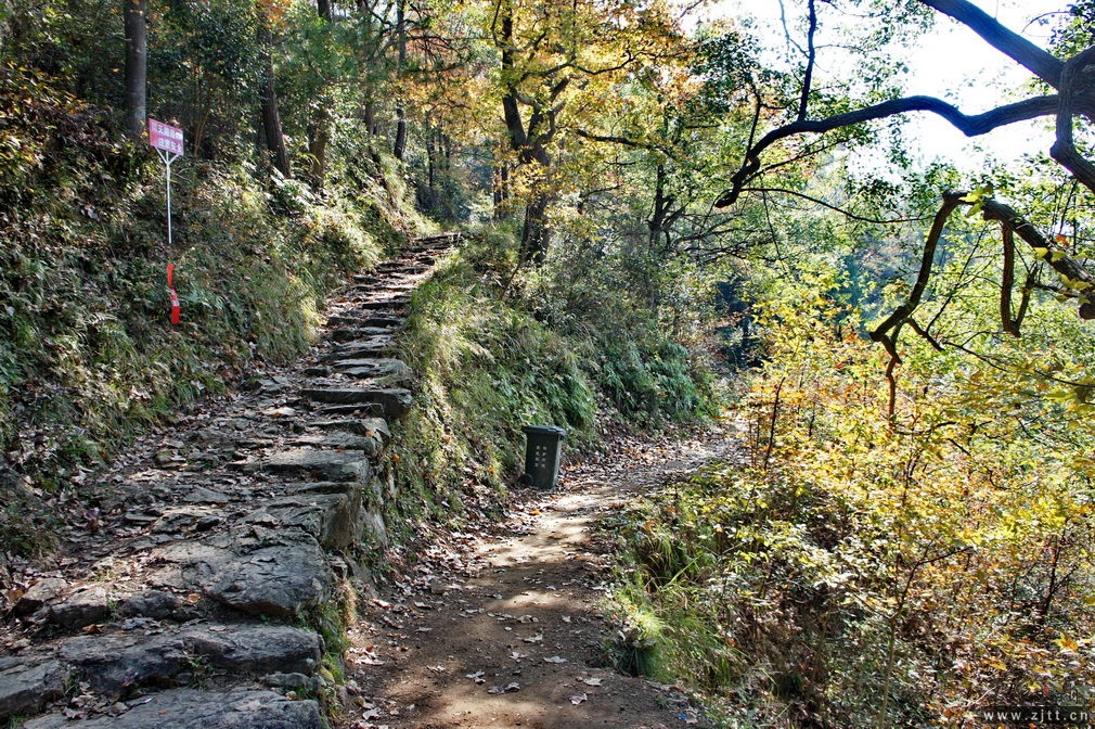 DSC01819_缩小大小.jpg