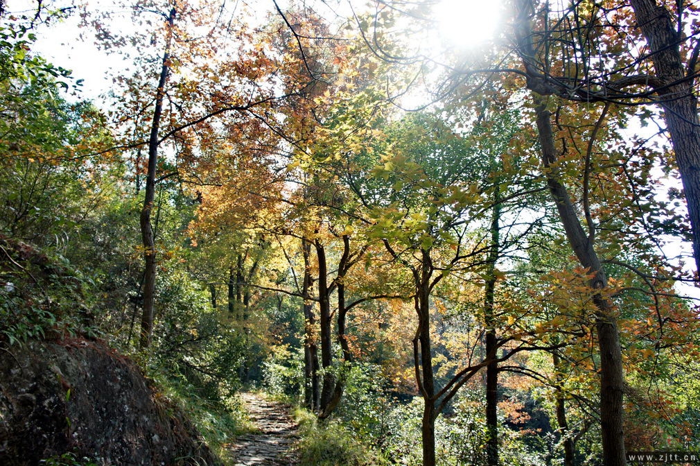 DSC01826_缩小大小.jpg