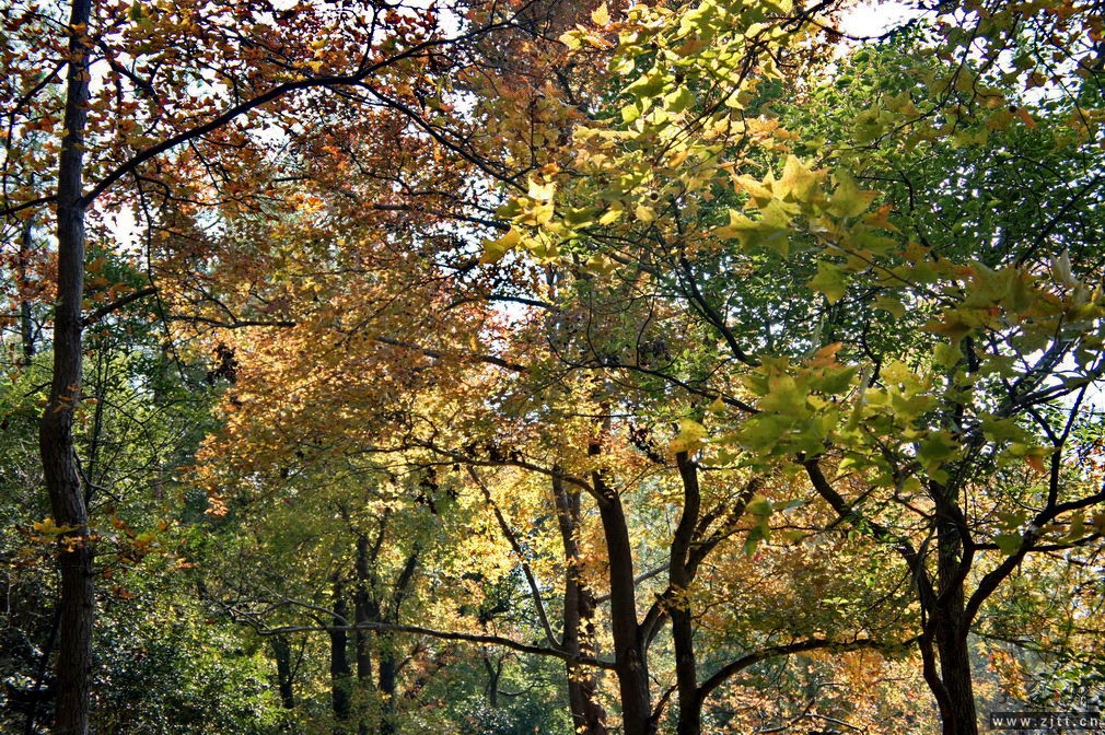 DSC01828_缩小大小.jpg