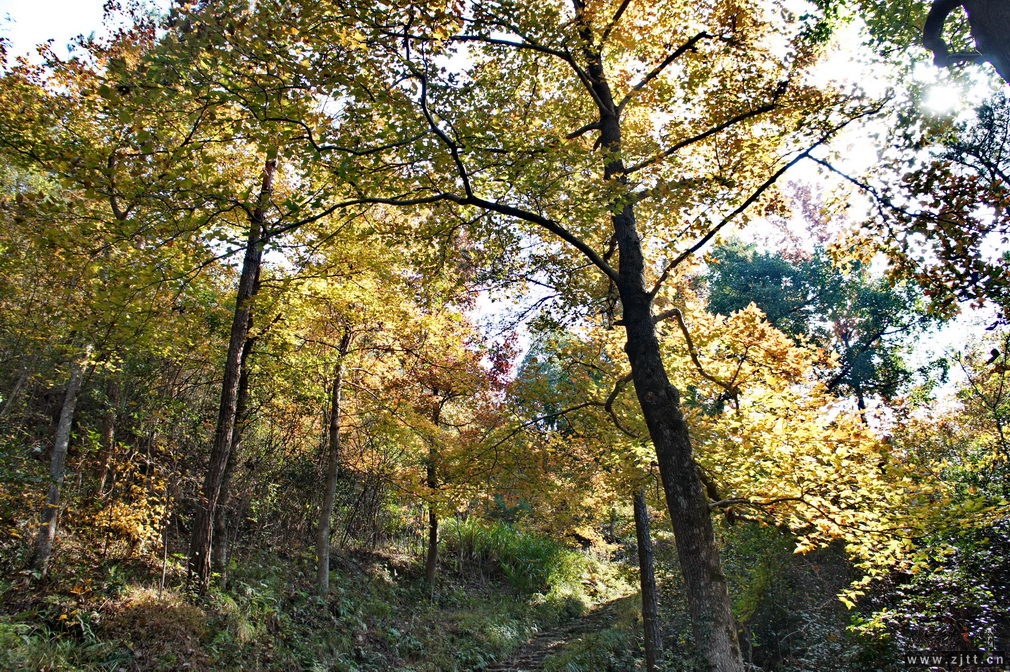 DSC01842_缩小大小.jpg