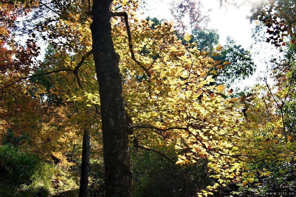 DSC01844_缩小大小.jpg