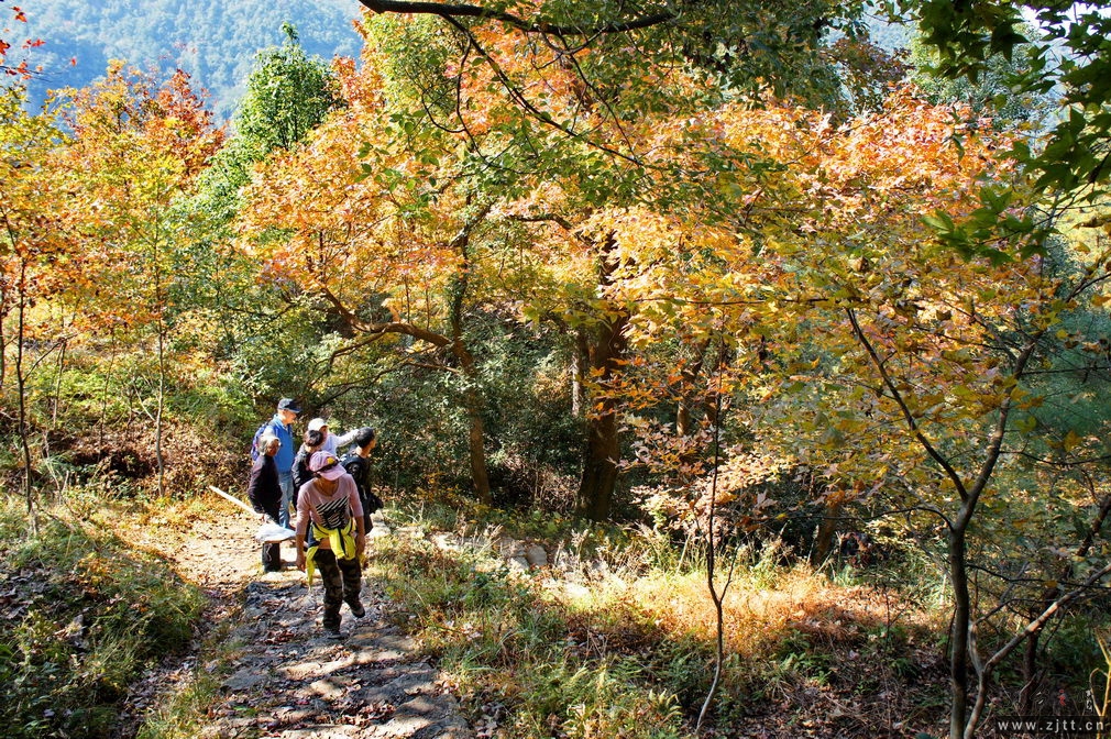 DSC01868_缩小大小.jpg