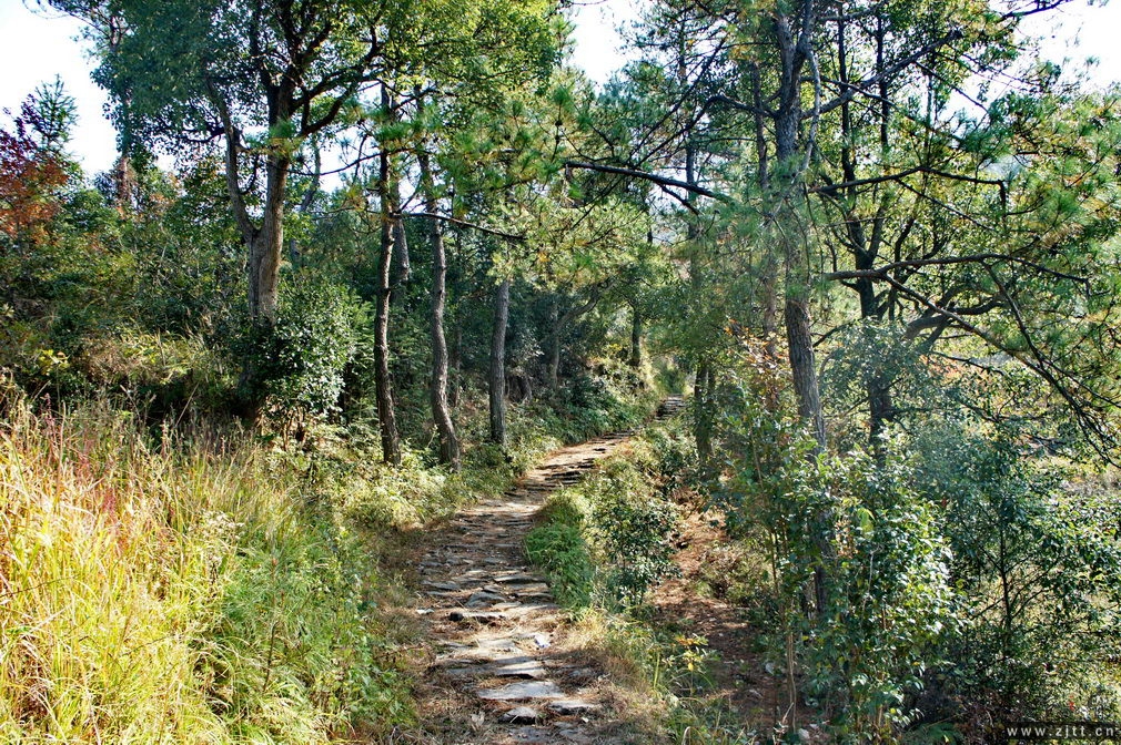 DSC01873_缩小大小.jpg