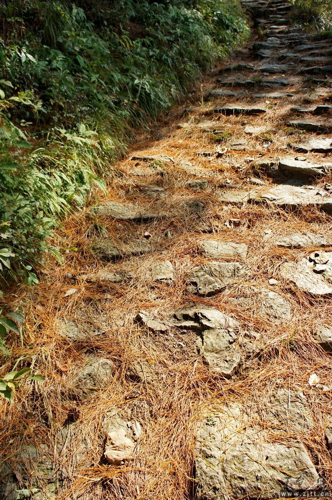 DSC01875_缩小大小.jpg