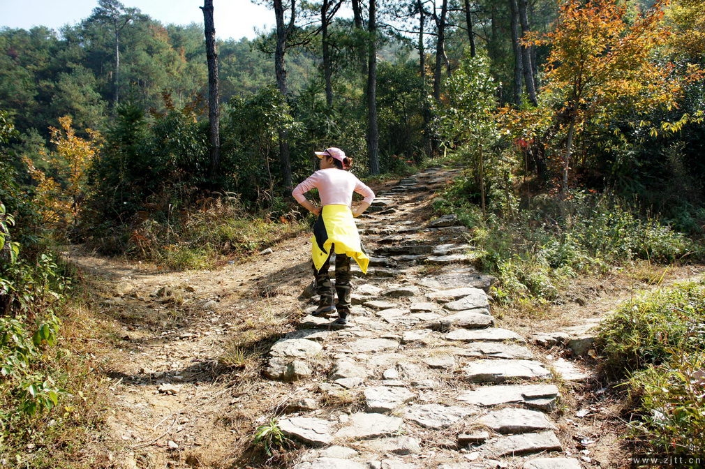 DSC01878_缩小大小.jpg