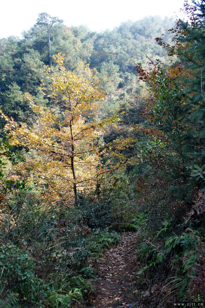 DSC01879_缩小大小.jpg
