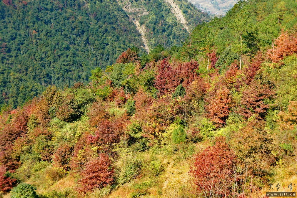 DSC01883_缩小大小.jpg