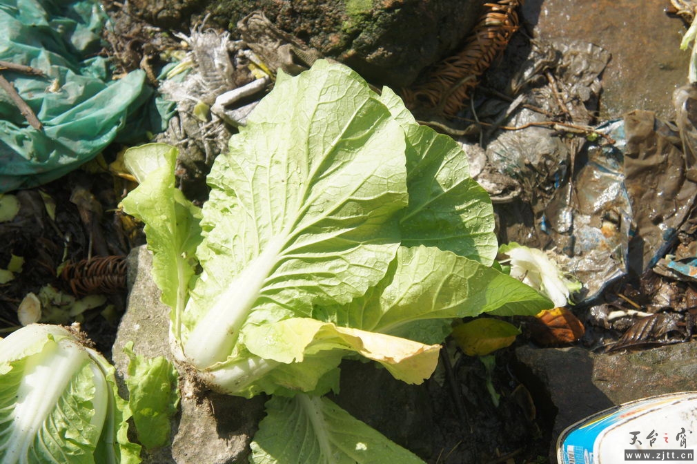 DSC01899_缩小大小.jpg