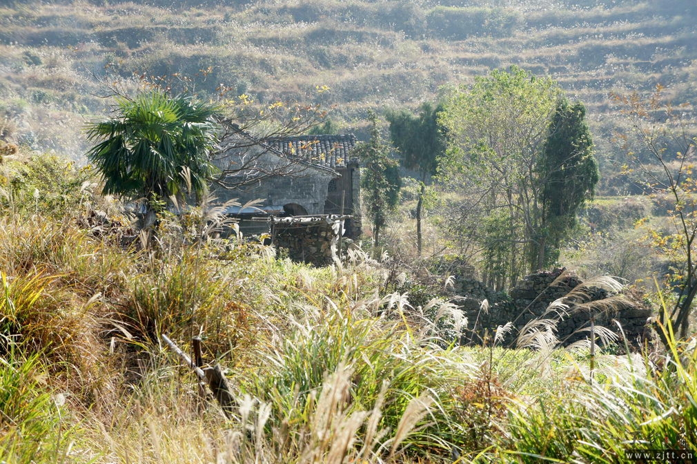 DSC01923_缩小大小.jpg