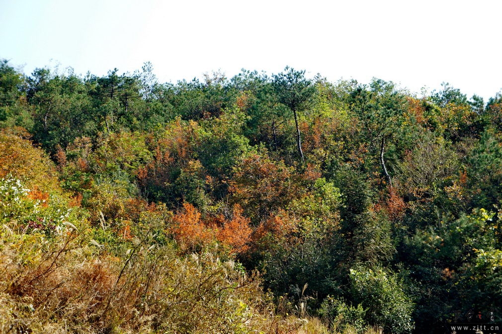 DSC01935_缩小大小.jpg