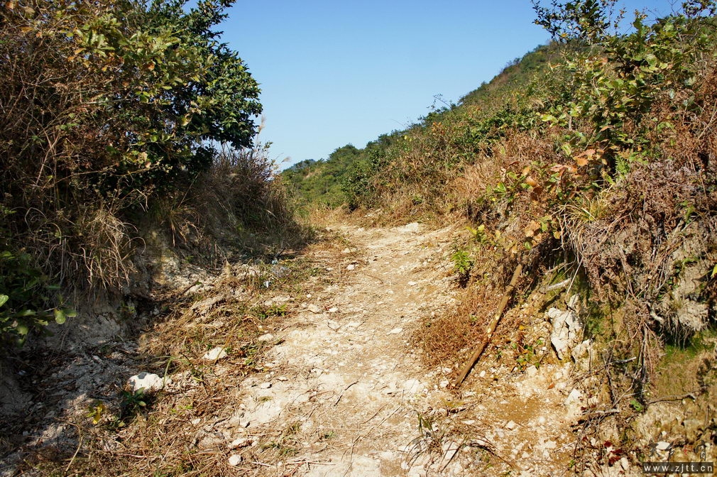 DSC01974_缩小大小.jpg