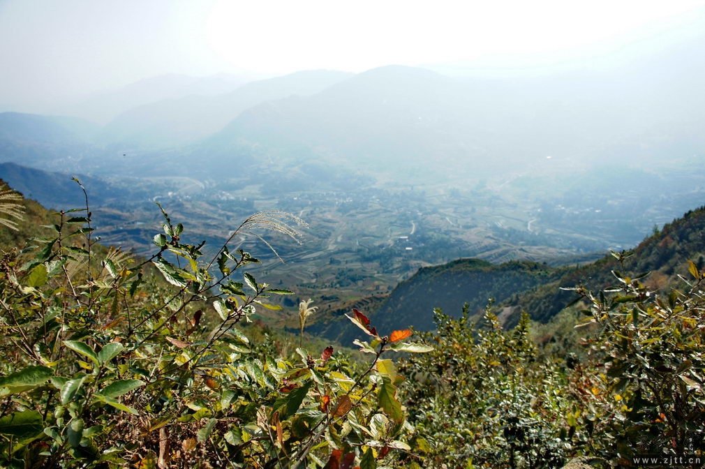DSC01976_缩小大小.jpg
