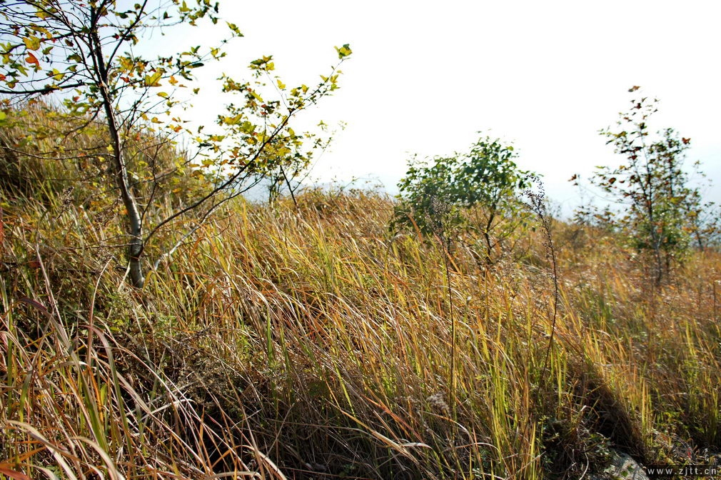 DSC02007_缩小大小.jpg