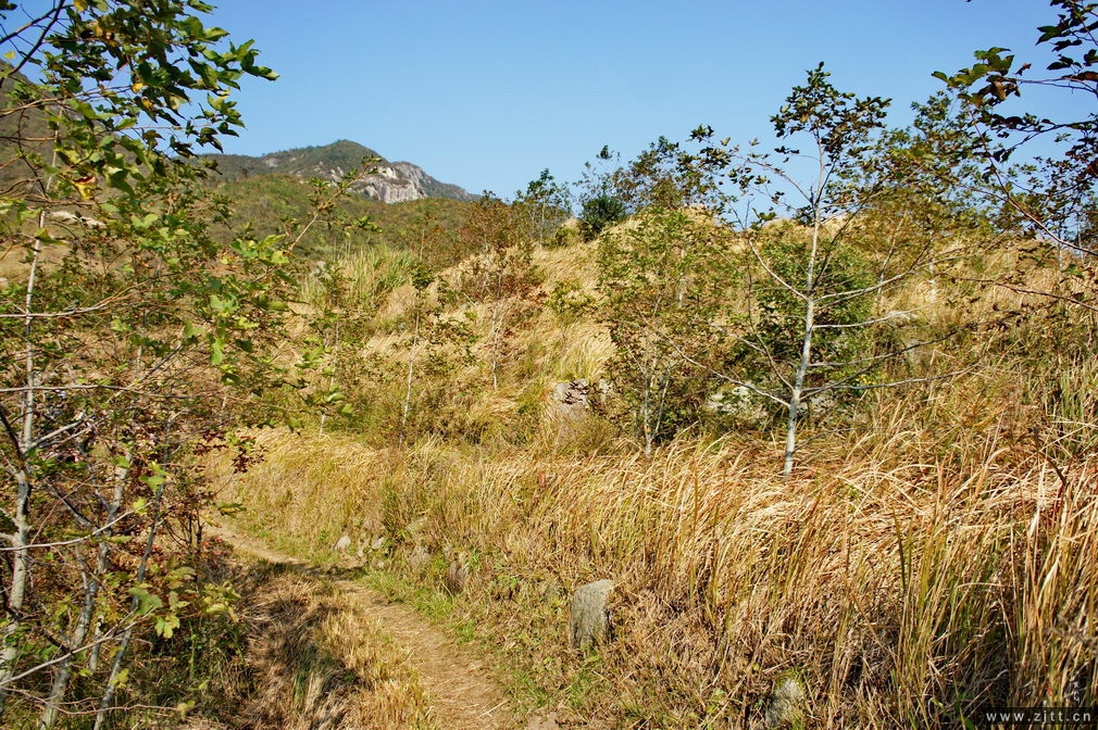 DSC02008_缩小大小.jpg