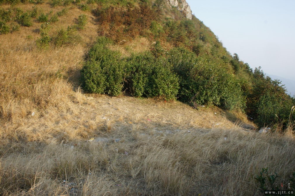 DSC02111_缩小大小.jpg