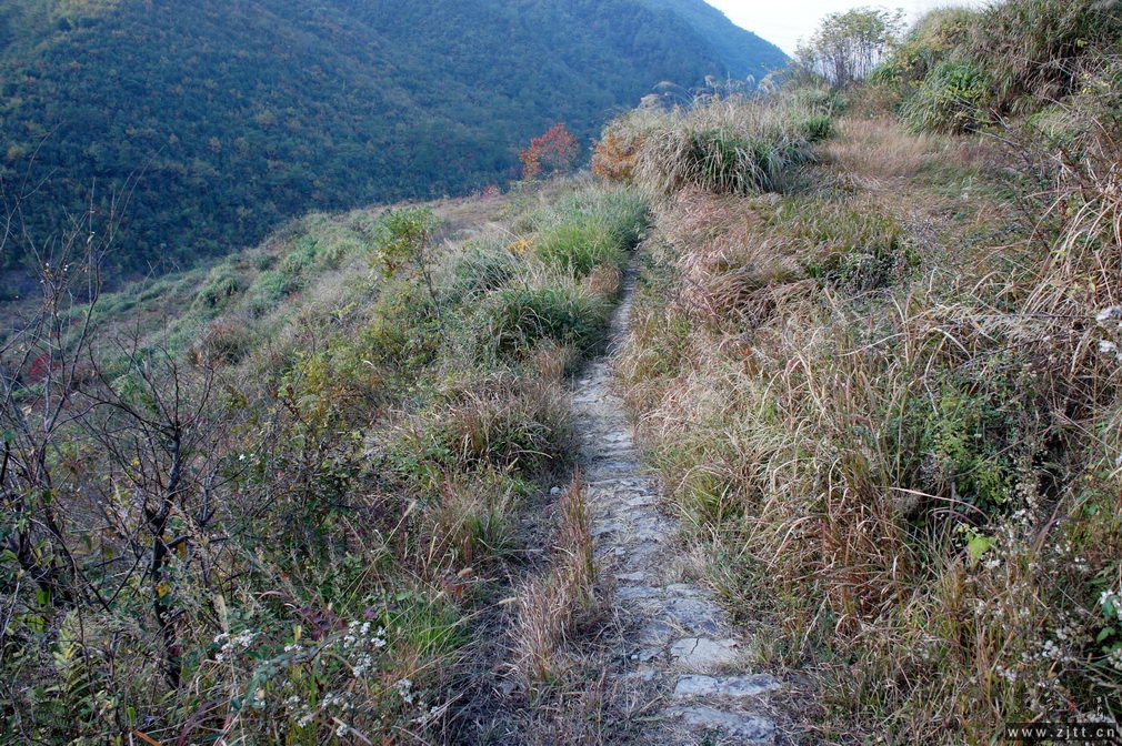 DSC02134_缩小大小.jpg