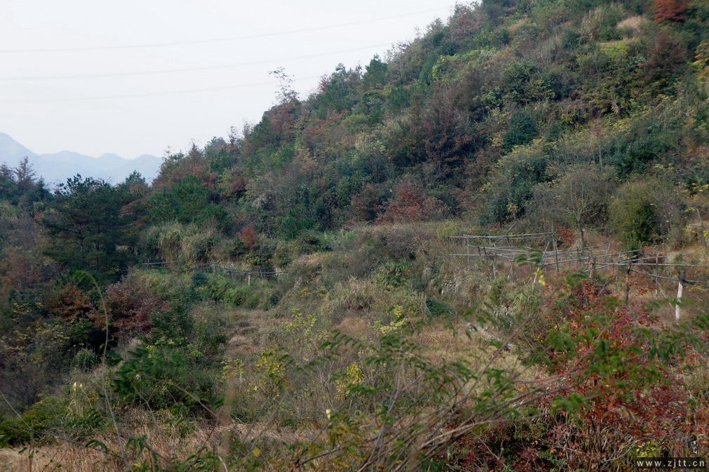 DSC02152_缩小大小.jpg